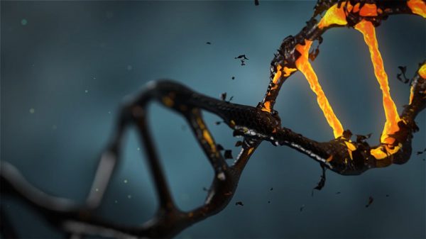 5 redenen om DNA te testen