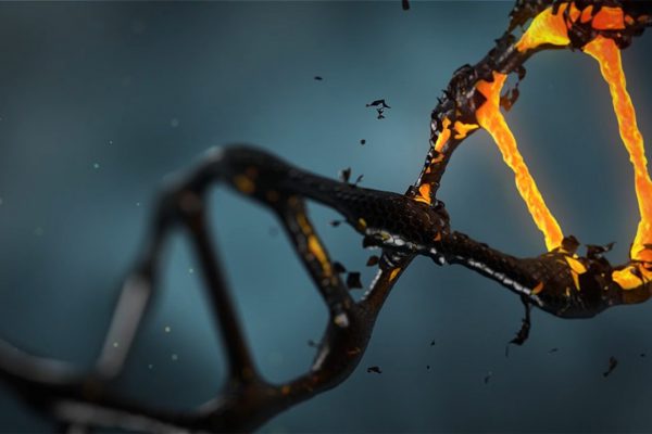 5 redenen om DNA te testen
